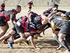 thumb_DSC_6430.jpg